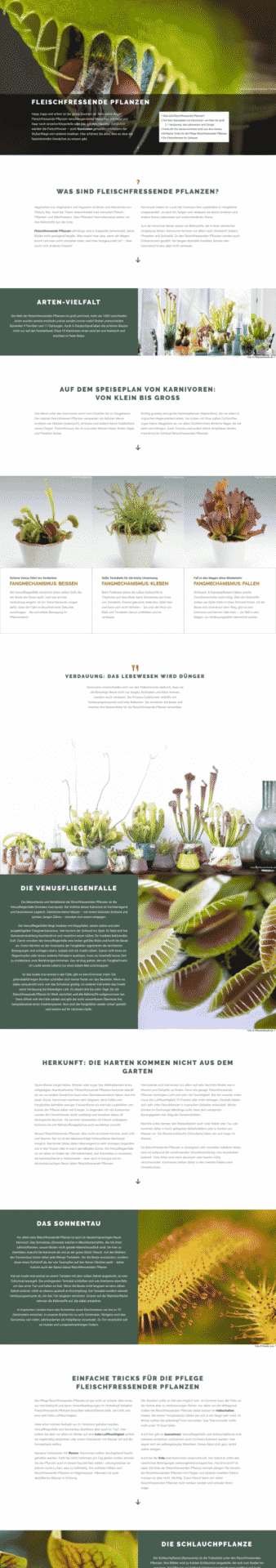 WordPress-Webdesign Referenz: Webseite von Fleischfressende Pflanzen
