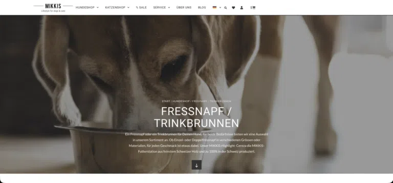 Suchmaschinenoptimierung für WooCommerce-Onlineshops